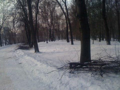 02_2012_Vyrubka2.jpg