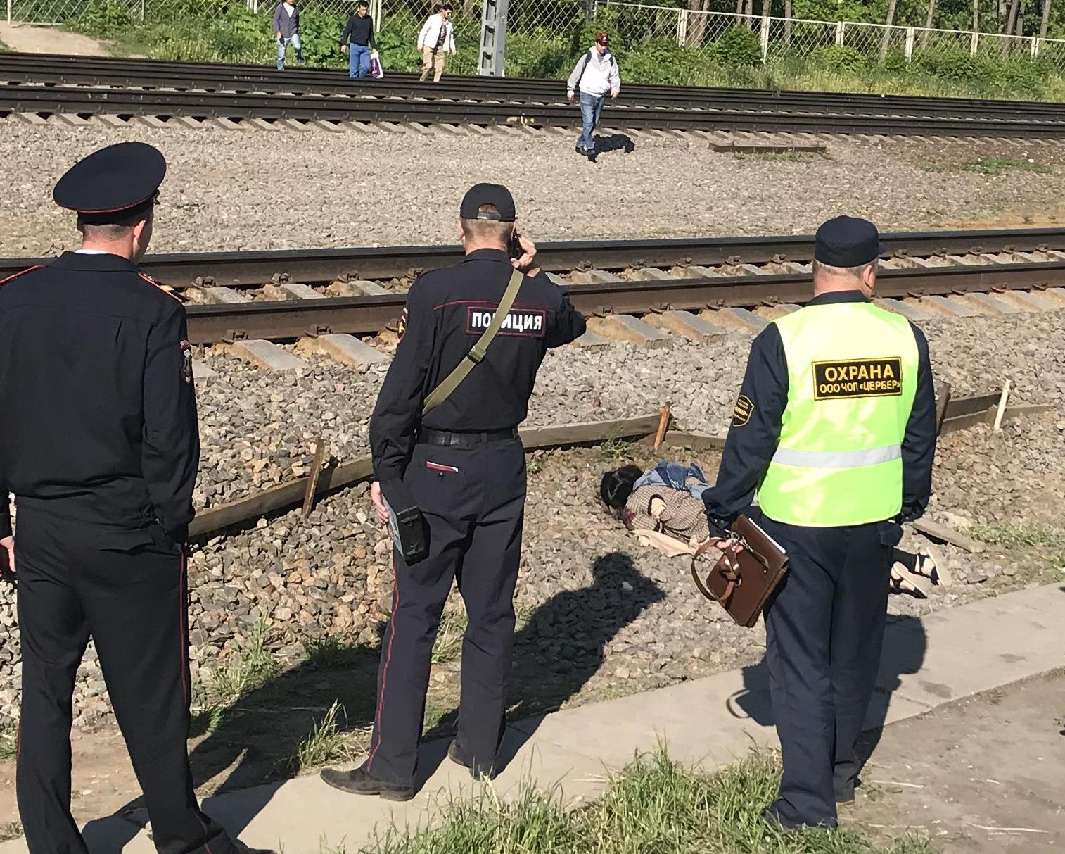 На железной дороге в Химках насмерть сбит человек. Фото 12+ | Экооборона  Московской области