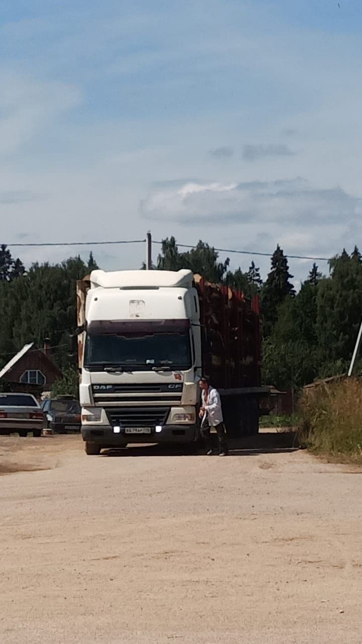 В Рузском районе пилят лес на древесину | 20.07.2021 | Подмосковье -  БезФормата