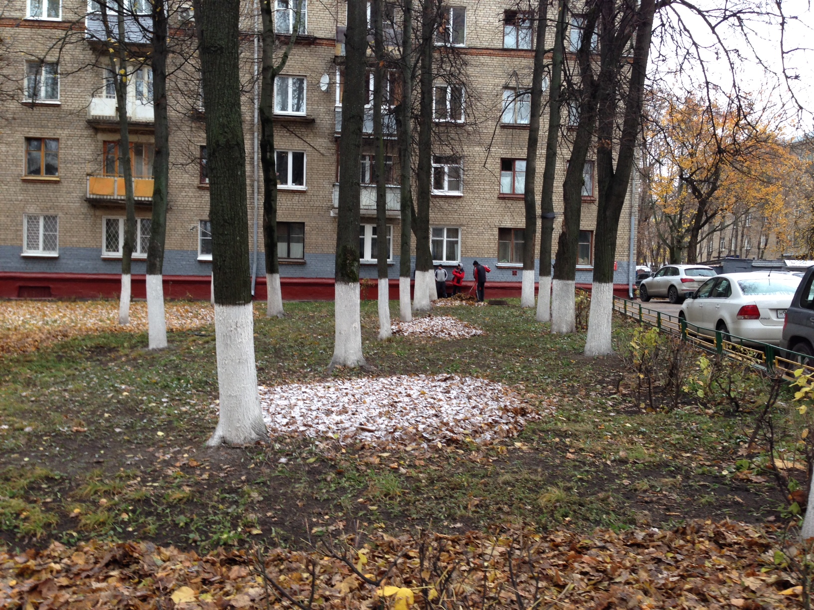 Уборка листьев в Химках продолжается. Куда жаловаться? | Экооборона  Московской области