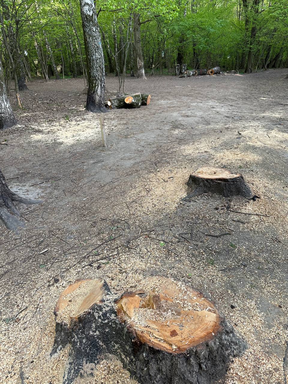 Пока все разъехались по дачам, в Видном 