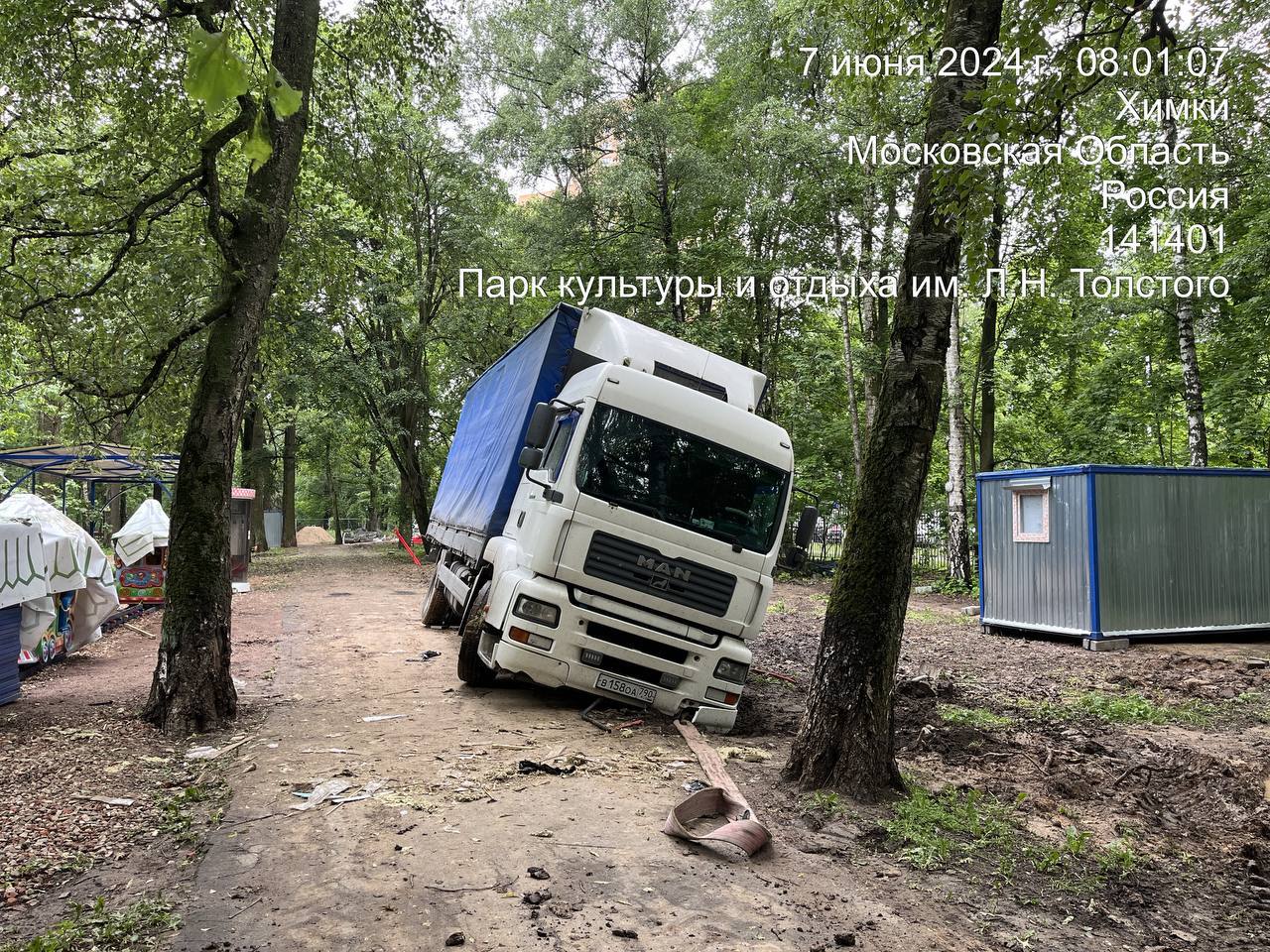 СРОЧНО! В МЫТИЩАХ РУБЯТ ЛЕС